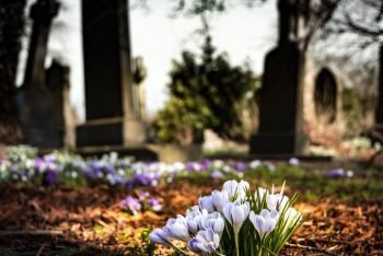 Den Friedhof mit Kindern entdecken