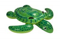 Schwimmtier Schildkröte