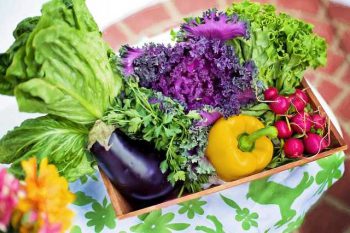 Gesunde Ernährung beinhaltet auch viel frisches Gemüse.