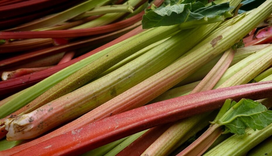 Rhabarber - perfekt fürs Backen