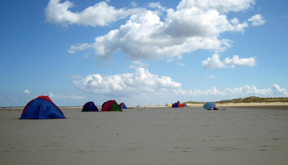 strandmuscheln